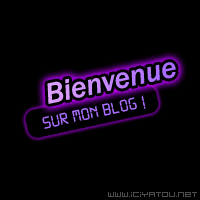 bienvenue 